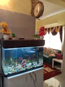 3BHK-Cozy Homestay Near IKEA & BIEC Exhibition, Bangalore - Image 3