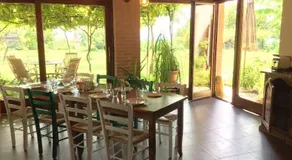 Le Ali del Falco - Image 5