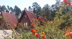 parque de campismo de Luso - Image 2