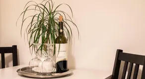 Tasca im Feui Apartments - Image 4