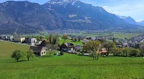 Alpine Chalet L iechtenstein - Image 2