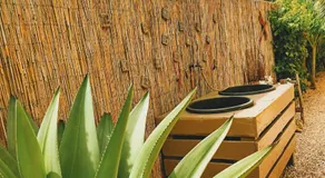 Barefoot Bonaire - Image 3