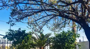 West Garden At Aigio By Greece Apartments - Image 2