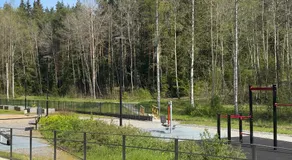 Brand New Studio surrounded by forest - Image 5