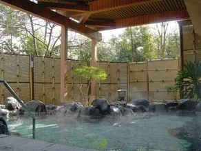 Hakone Reinanso - Image 4