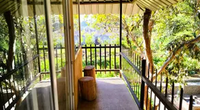 Nature's Charm - Unique Treehouse by a Scenic Lake - Image 2