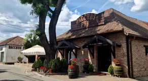 Bacchus Pub és Panzió - Image 3