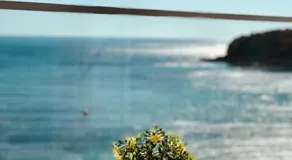 Ionian Terrace - Image 4