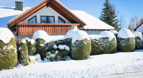 House of Happiness by apartmentglück - Image 4