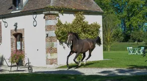 Le DOMAINE ODDIYANA - Image 5