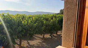 Hostal El Violí - Image 5