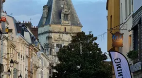 Bienvenue dans la Jungle - Image 4