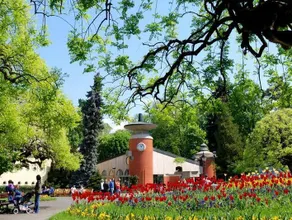 Medical and Spa Centre Merkur - Image 2