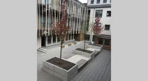 Central, Modern, mit großem Balkon Checkin123 - Image 3