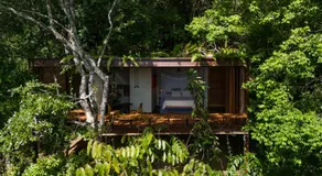 A Casinha da Floresta - Image 3
