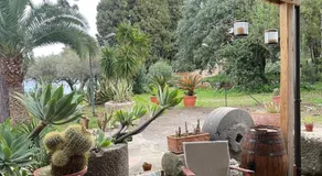 Bouganville a Villa Greco - Image 4
