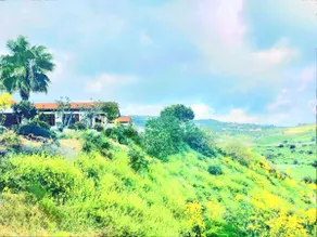 Beautiful Home～
Luxury Villa where you can party - Image 4