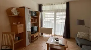 Gaber - Image 2