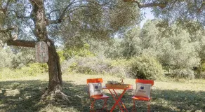Star Sleep Kaloniktis Rethymno Olive Farm Escape - Image 5