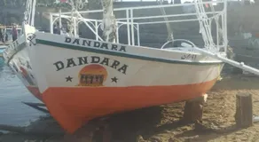 دندرة بوت - Image 4