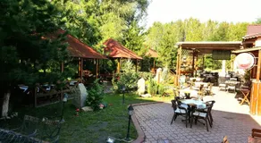 La Salcii - Image 5