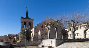 DONCELLAS - Image 4