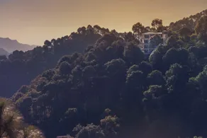 The Lalita's Majestic Pines - Image 5
