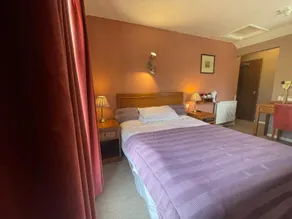 The Prince of Wales - Image 3