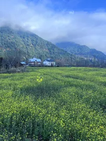 Apple Garden retreat - Image 3