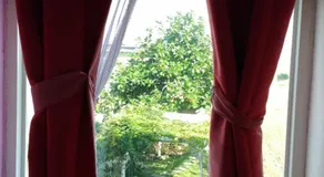 Breadtree Homestay - Image 4