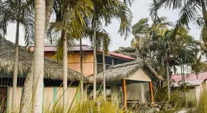 Van Rey Farms - Image 2