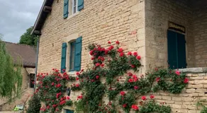 Les Maisons Vigneronnes - Image 4