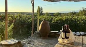 Baias Wine - Image 3