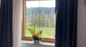 Haus Tanne Abtenau - Image 3