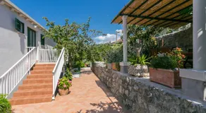 Apartments Nautilus Orašac - Image 5