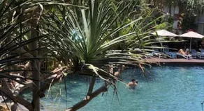 Lush Rainforest Retreat minutes from Hastings St 8201 - Image 3