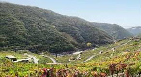 Gorgeous Home In Galicia - Image 4