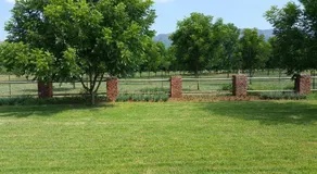 Green Willows Guest House - Image 4