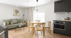Noli Otaniemi - Image 2
