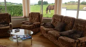 The Rock Equestrian Farm B&B - Image 4