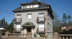 Les cigognes - Image 4