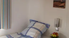La palombe - Image 2