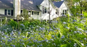Timbercliffe Cottage Inn - Image 4
