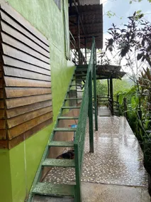 Green Point - Image 4