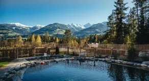 Luxury Chalets Gradenbach near Schladming - Image 3