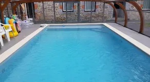 Duplex Swimming Cats - Image 3