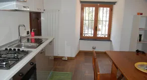 Koala - Image 4