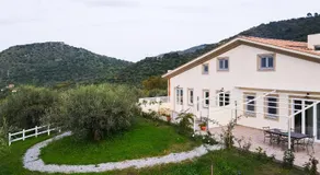 L'ALBERO DELLA MANNA - Image 3
