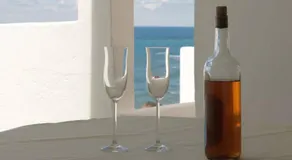 Atlanterhavs Oasis: mod havet - Image 4