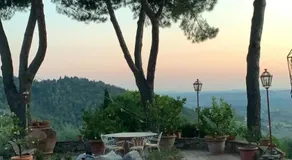 La stanza col giardino - Image 4
